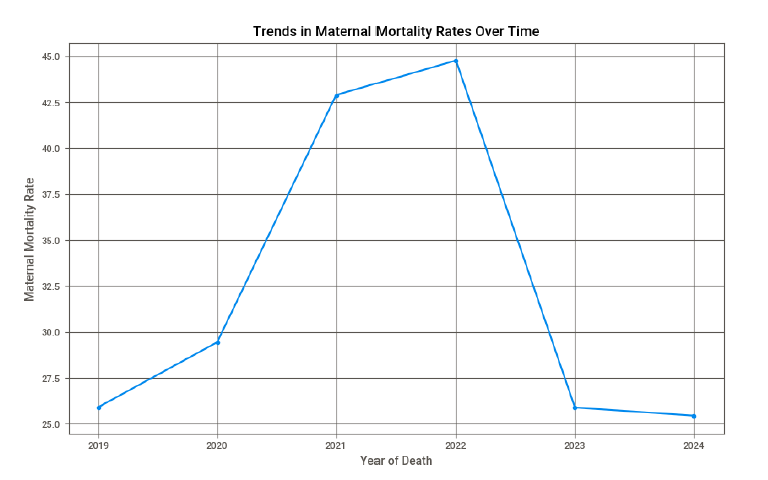 Maternal Mortality Project Thumbnail